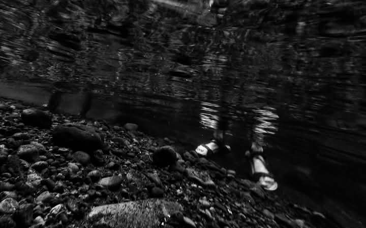 Héctor Ad Quintanar tweet media