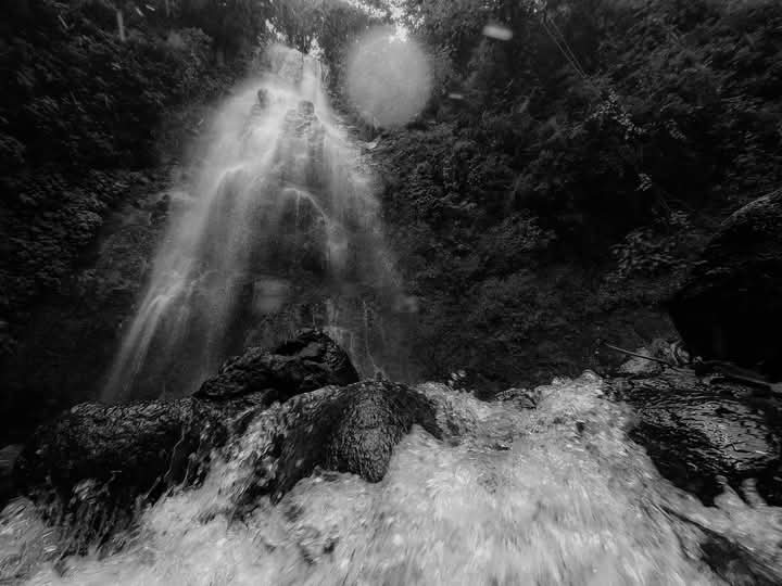 Héctor Ad Quintanar tweet media