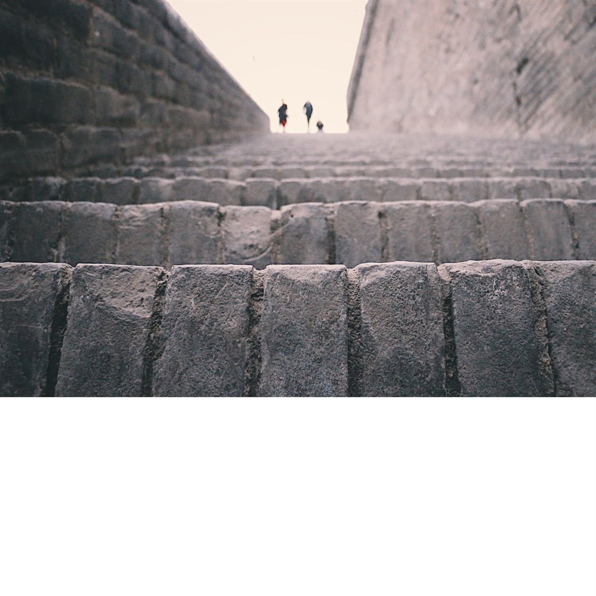 Crystal Chen (@crystal_chen_) on Twitter photo 