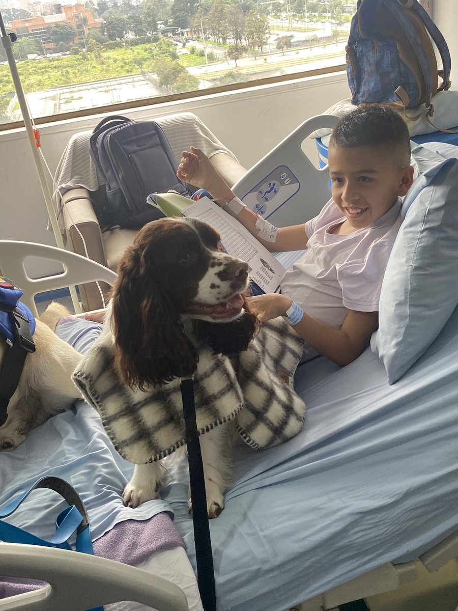 SonyPRodriguez's tweet image. Visita Asistida con perros. 🐶 Generando sonrisas en la dificultad y de paso celebrando el día del Niño en el hospital 🏥 🐕🩵 #perros #niños #cuidar