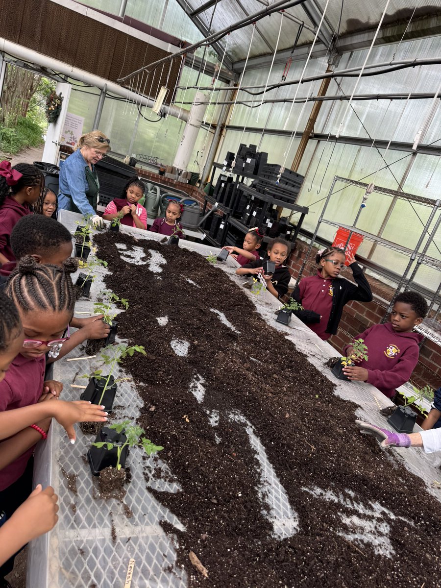Nikki R. Porter (@nporter17) on Twitter photo What a fantastic week of teaching and learning at Stonewall Tell ES! From student engagement to staff collaboration, the energy and growth were inspiring. Proud to be part of this amazing community. <a href="/aplatimore/">Gerard Latimore</a> <a href="/StonewallTell/">Stonewall Tell ES</a> <a href="/FultonCoSchools/">FultonCountySchools</a> What a fantastic week of teaching and learning at Stonewall Tell ES! From student engagement to staff collaboration, the energy and growth were inspiring. Proud to be part of this amazing community. <a href="/aplatimore/">Gerard Latimore</a> <a href="/StonewallTell/">Stonewall Tell ES</a> <a href="/FultonCoSchools/">FultonCountySchools</a>