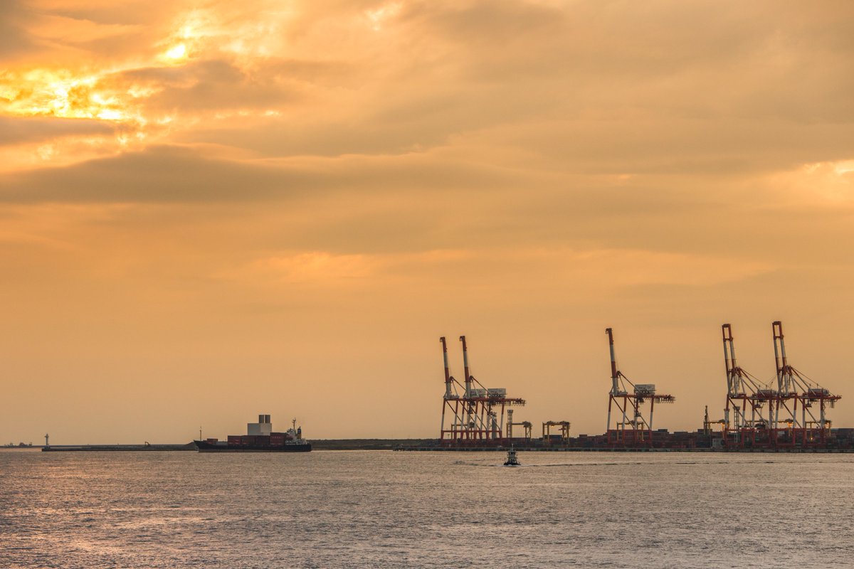 LUPR Inc. tweet media