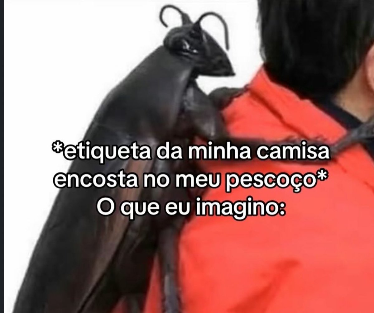shitpostverdade's tweet photo. https://t.co/wcNvt4FECO