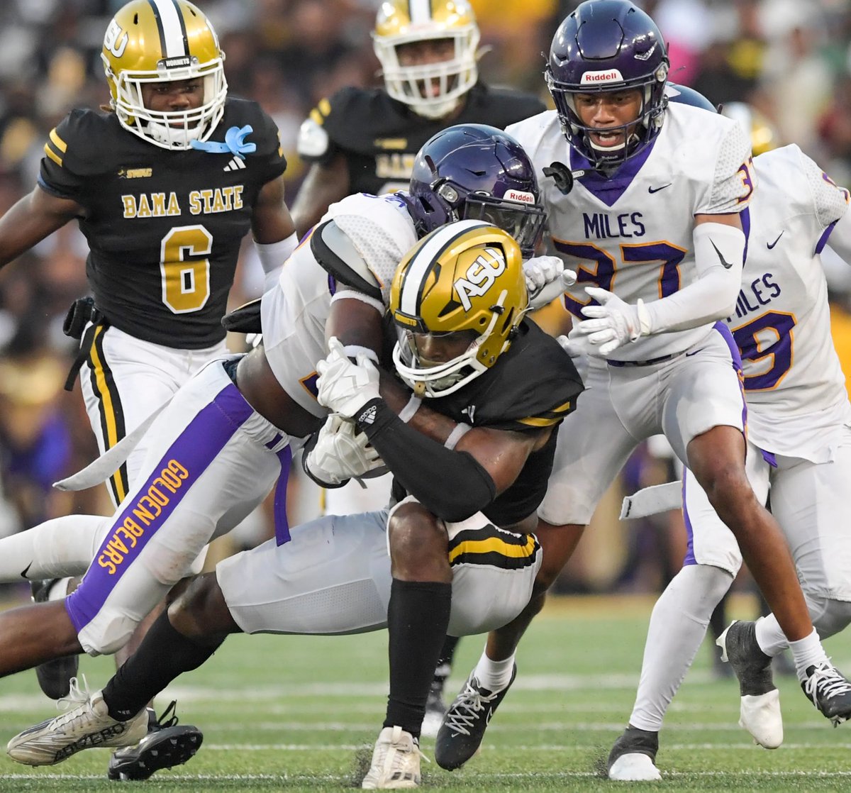 Marv(silverback) tweet media