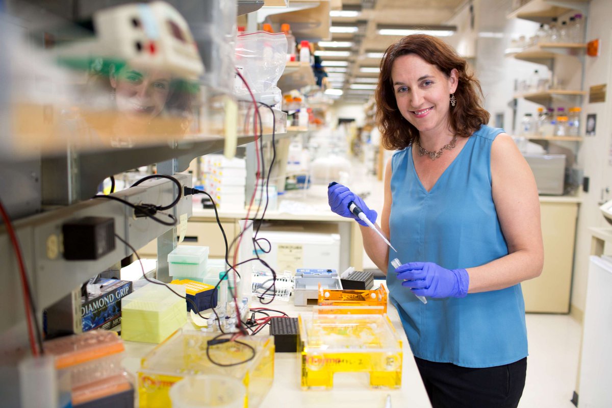 National Academy of Sciences (@thenasciences) on Twitter photo Congratulations Susan Kaech of <a href="/salkinstitute/">Salk Institute</a>, newly inducted #NASmember! #NAS162 #immunology Congratulations Susan Kaech of <a href="/salkinstitute/">Salk Institute</a>, newly inducted #NASmember! #NAS162 #immunology