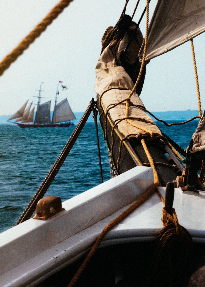 KJP tweet picture