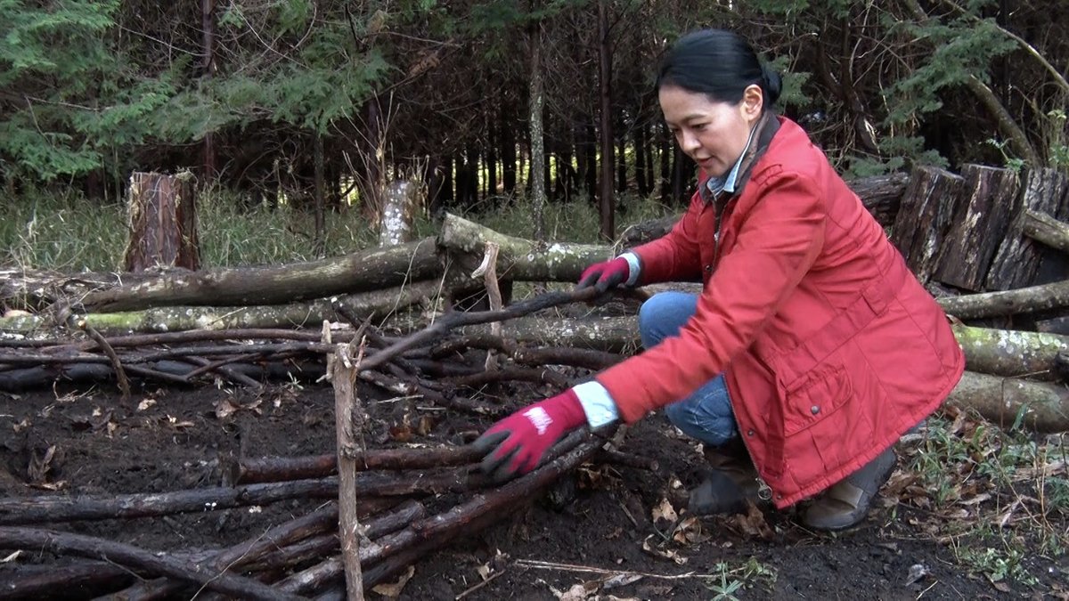 ／
本日放送✨
＼
「黒谷友香、#お庭つくります 」　
📅4/26　毎週土曜日 午前10時00分～10時30分

お庭に巨大な鳥🐓の巣をつくる!?🍃🍁
さらに、長野県で理想のナチュラルガーデン #GARDENSOIL をつくったお二人の移住人生物語に迫ります！

#BS11 #ガーデニング #黒谷友香
📺bs11.jp/education/kuro…