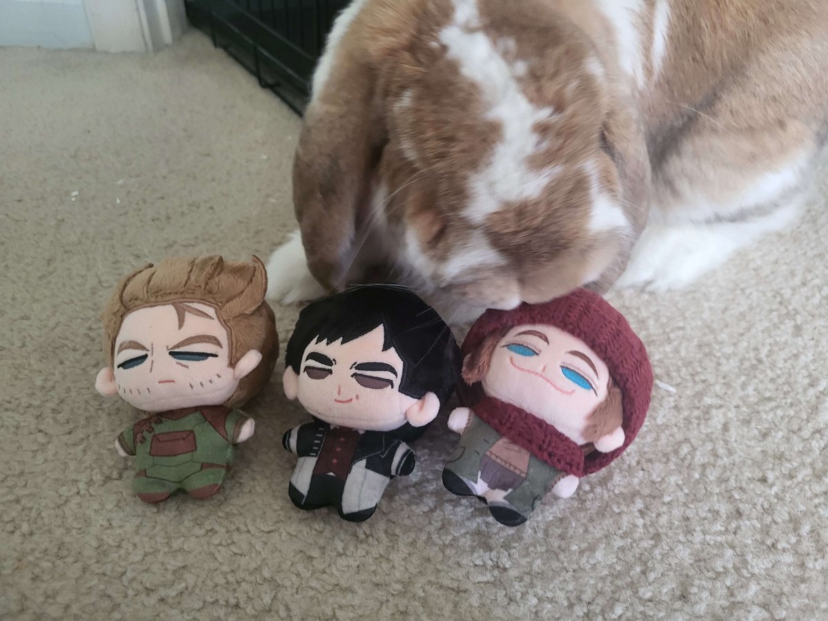 Misha Tarkus tweet media