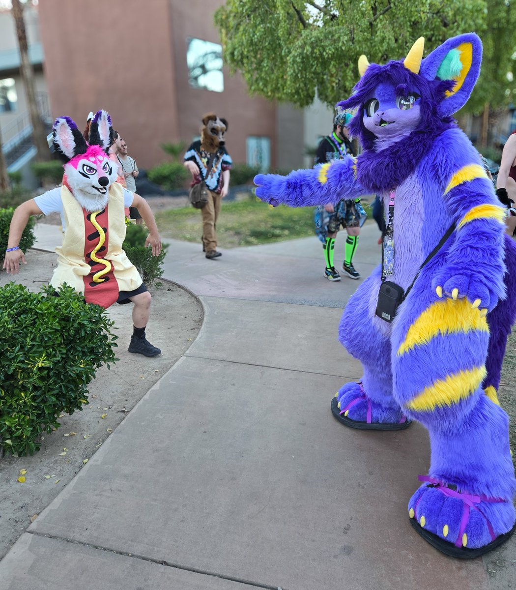 The food at #LVFC2025 was delicious! There just seems to be something funny about them...

#lvfc