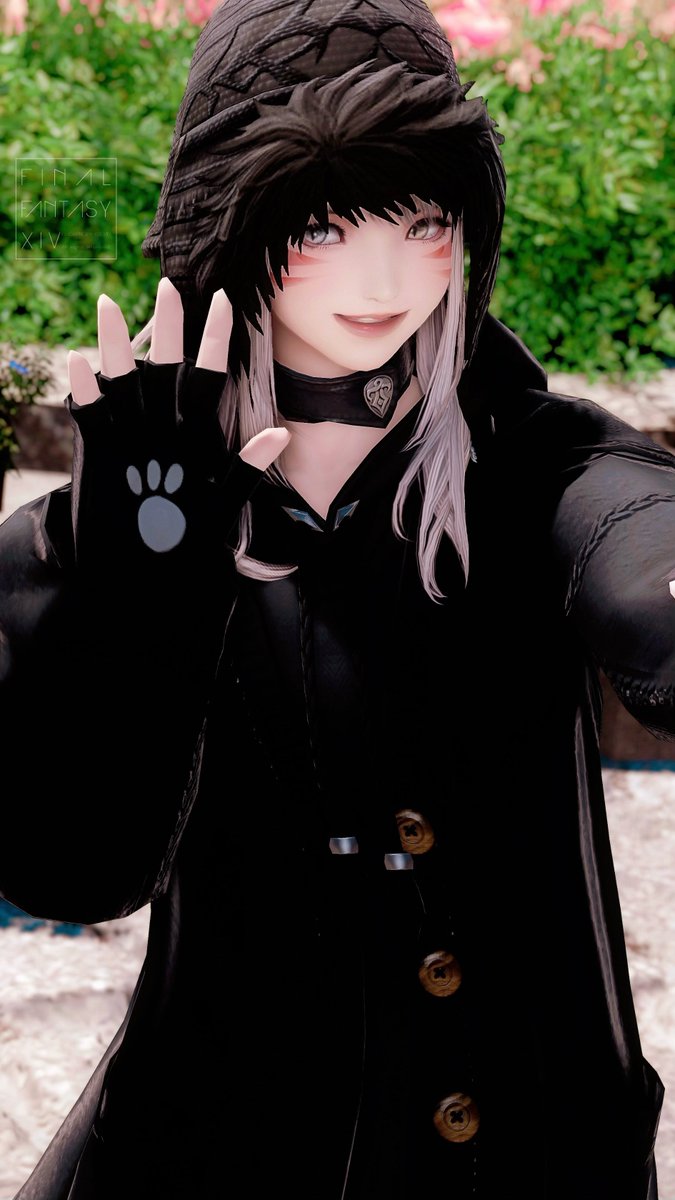 ohayo🐈🐾