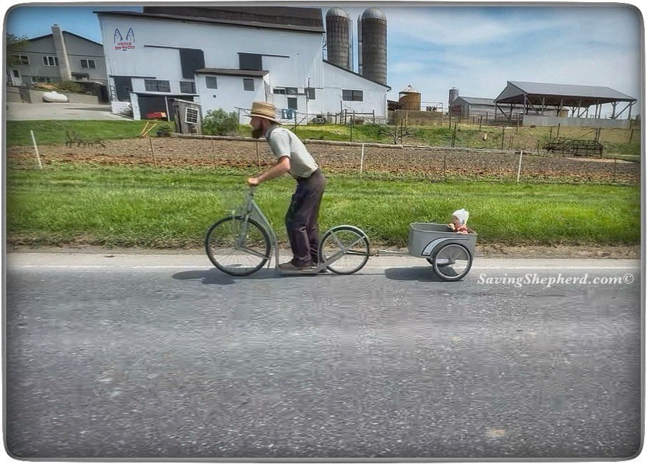 SavingShepherd's tweet image. Today’s Truth
“2 #lead ur #children in the right way, u must go that way urself.”
#Amish #proverb
#parenting #quoteoftheday #Amish #proverb #photooftheday #parents #child #parenhood #inspiration #quotes #savingshepherd #life #photography #picoftheday #photo #picture #pic #usa