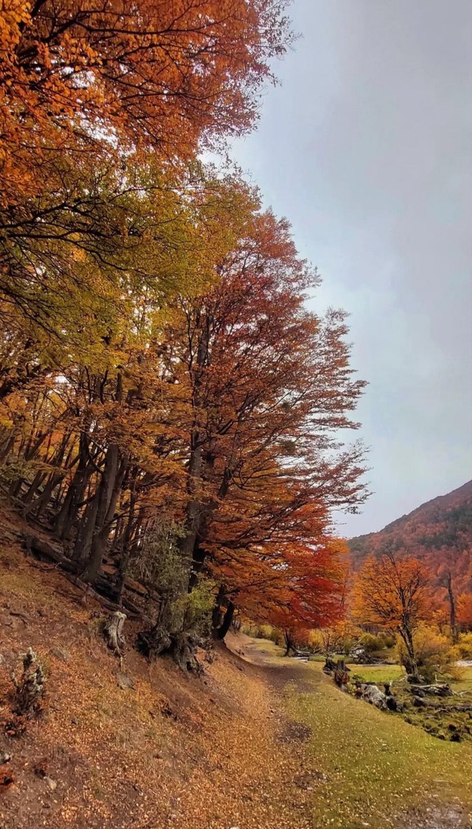 Ushuaia, Tierra del Fuego. 💚