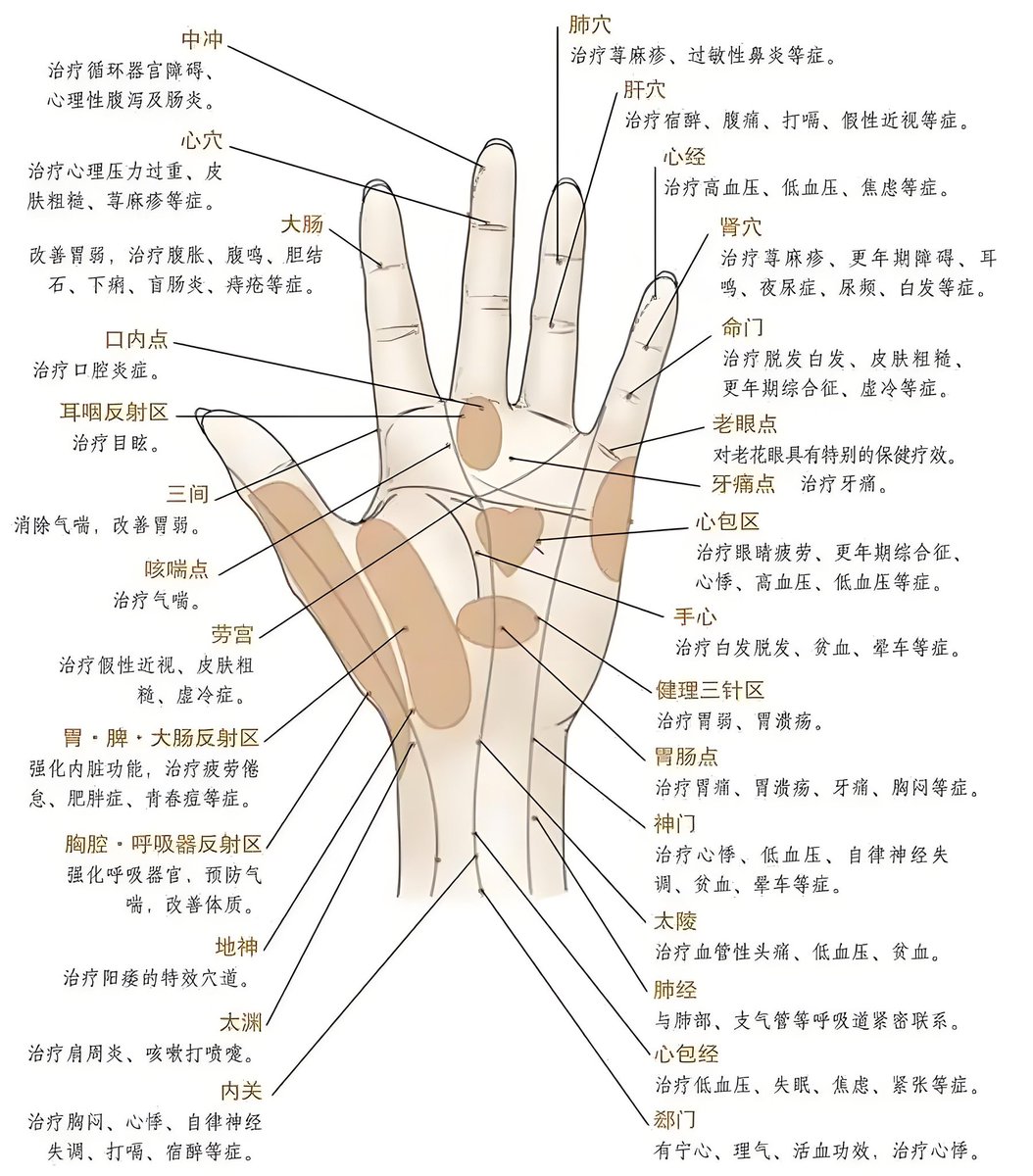 g_wolves's tweet photo. This is from the ancient acupuncture medicine of China, which is thousands of years old. If your finger feels uncomfortable when pressing our mouse button, it is likely that the corresponding organ shown in the picture may have inflammation. You can refer to the picture to find out.
