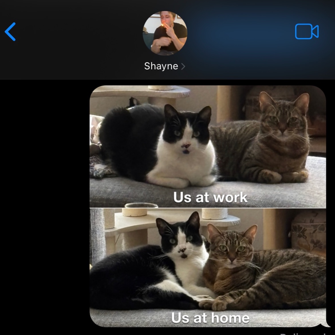smoshbase_'s tweet photo. Courtney shares photo dump via Instagram https://t.co/GQ65epK5tv