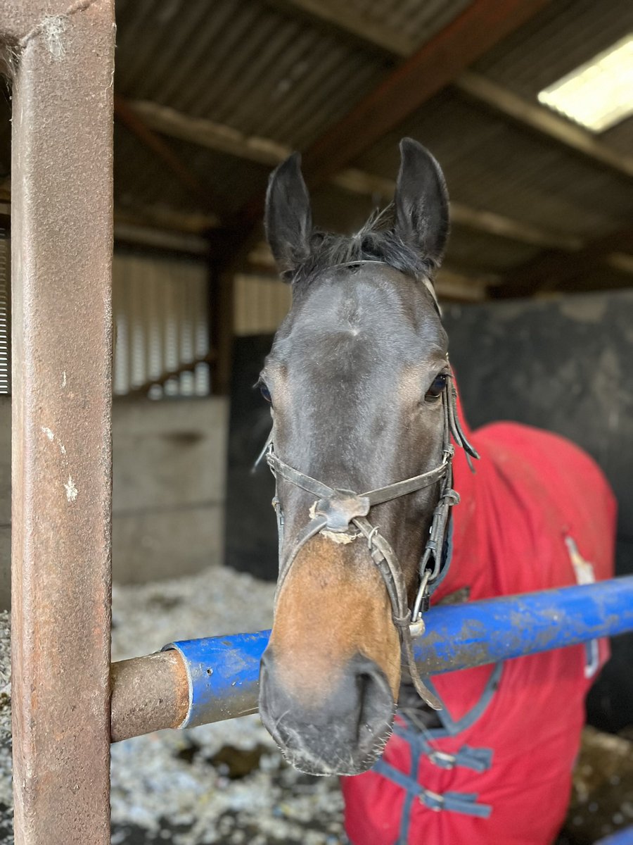 Johnnie Delta Racing (@jdeltaracing) on Twitter photo Oriental Prince ran a cracker in a high class race <a href="/MusselburghRace/">Musselburgh Racecourse</a> last week, heโs back out today <a href="/DoncasterRaces/">Doncaster Racecourse</a>, <a href="/PMulrennan/">Paul Mulrennan</a> rides <a href="/JimGoldieRacing/">Jim Goldie Racing</a>โs home bred son of the late great Orientor! Oriental Prince ran a cracker in a high class race <a href="/MusselburghRace/">Musselburgh Racecourse</a> last week, heโs back out today <a href="/DoncasterRaces/">Doncaster Racecourse</a>, <a href="/PMulrennan/">Paul Mulrennan</a> rides <a href="/JimGoldieRacing/">Jim Goldie Racing</a>โs home bred son of the late great Orientor!