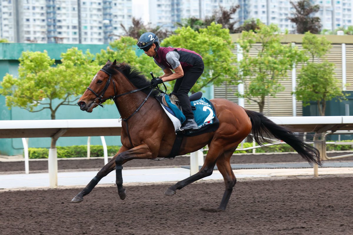 Dubai Racing Club (@racingdubai) on Twitter photo One day to go! ⏳
LIBERTY ISLAND on track at Sha Tin ahead of Sunday’s G1 QEII Cup
#FWDChampionsDay | 📸 <a href="/HKJC_Racing/">HKJC Racing</a> #DRCgrads | #リバティアイランド One day to go! ⏳
LIBERTY ISLAND on track at Sha Tin ahead of Sunday’s G1 QEII Cup
#FWDChampionsDay | 📸 <a href="/HKJC_Racing/">HKJC Racing</a> #DRCgrads | #リバティアイランド