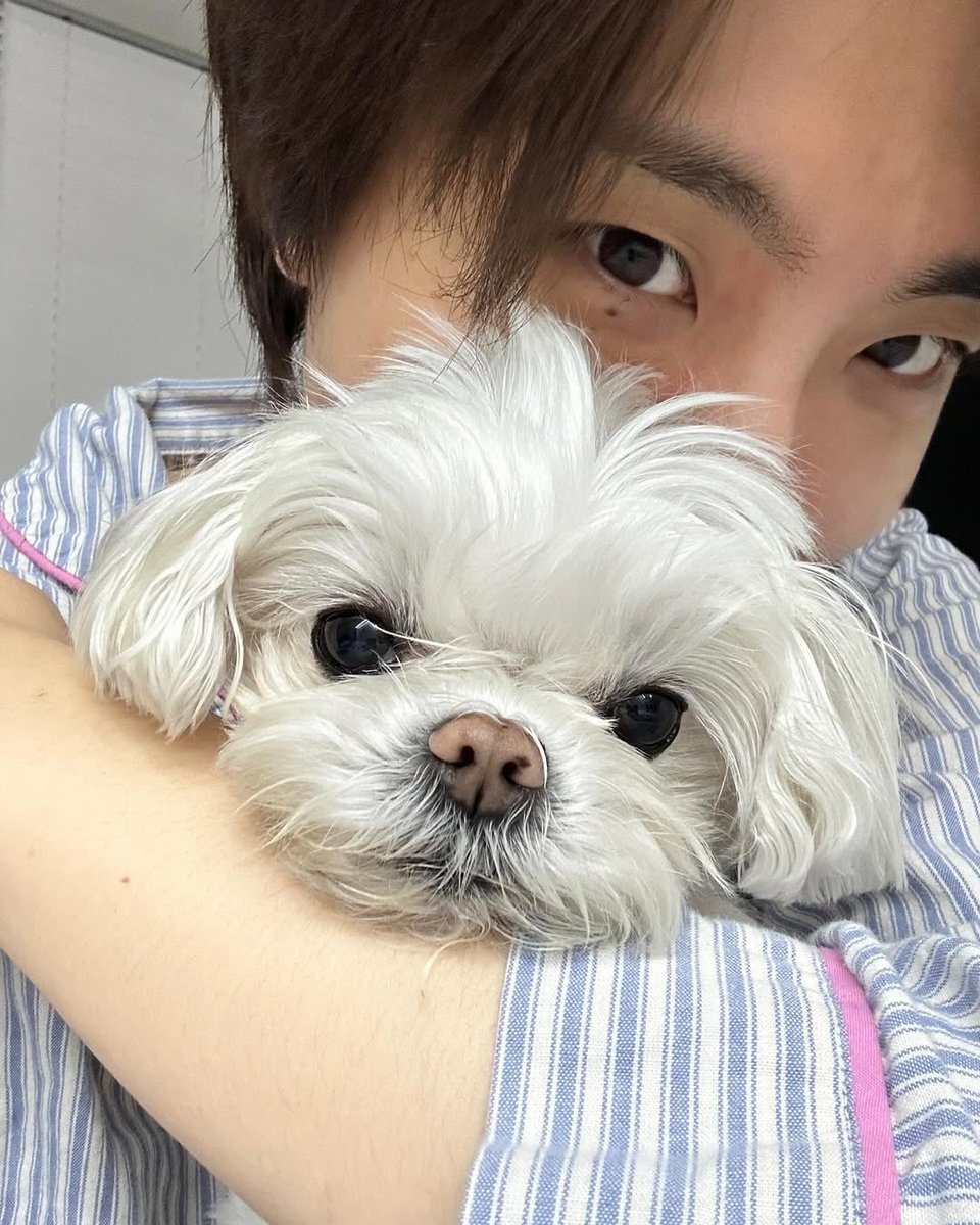 cyjprint's tweet photo. 250426 | INSTAGRAM [b_ftaq] 

"🤍"

#Youngjae #영재 @ChoiArs_YJ #GOT7 https://t.co/MebeKRRGV7