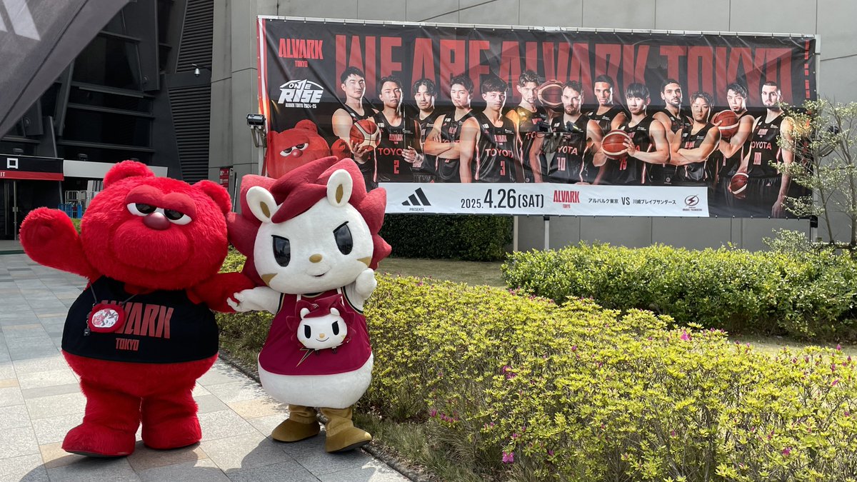 ロウルは #アルバルク東京 さんのホームアリーナに到着しております🧳💫

#ルーク さんと仲良くおそとをお散歩しましたよ〜🐻❤️😻⚡️

今日一日思いっきり楽しみます🤝🏻✨

#川崎ブレイブサンダース
#ロウルかわいいよロウル