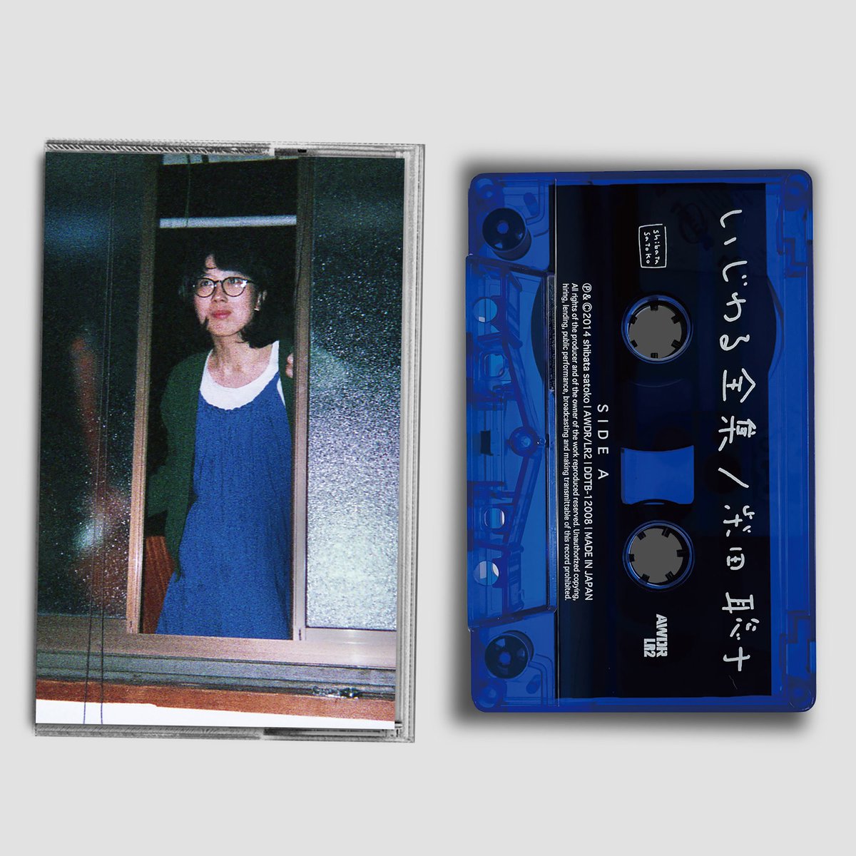 柴田聡子|Satoko Shibata on X: 