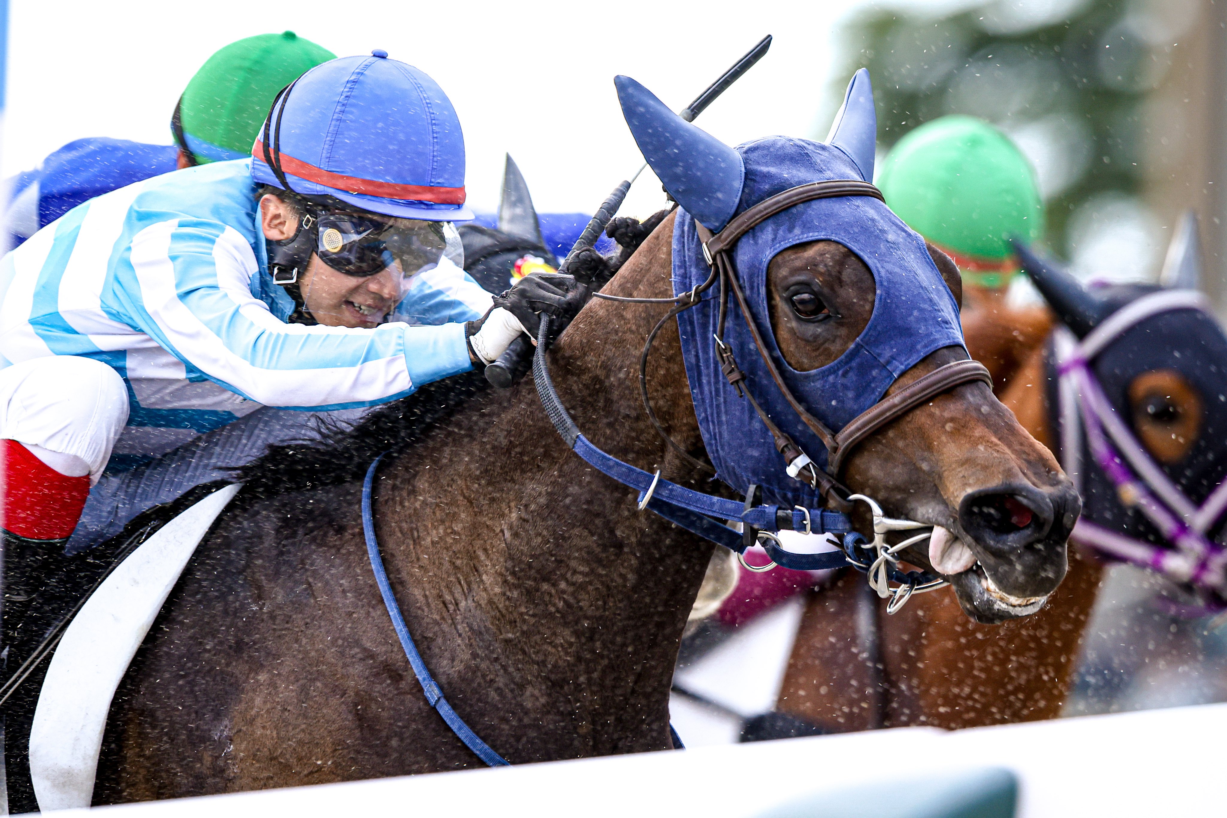 🏇うまゆき🏇 (@black_sushiko) / X