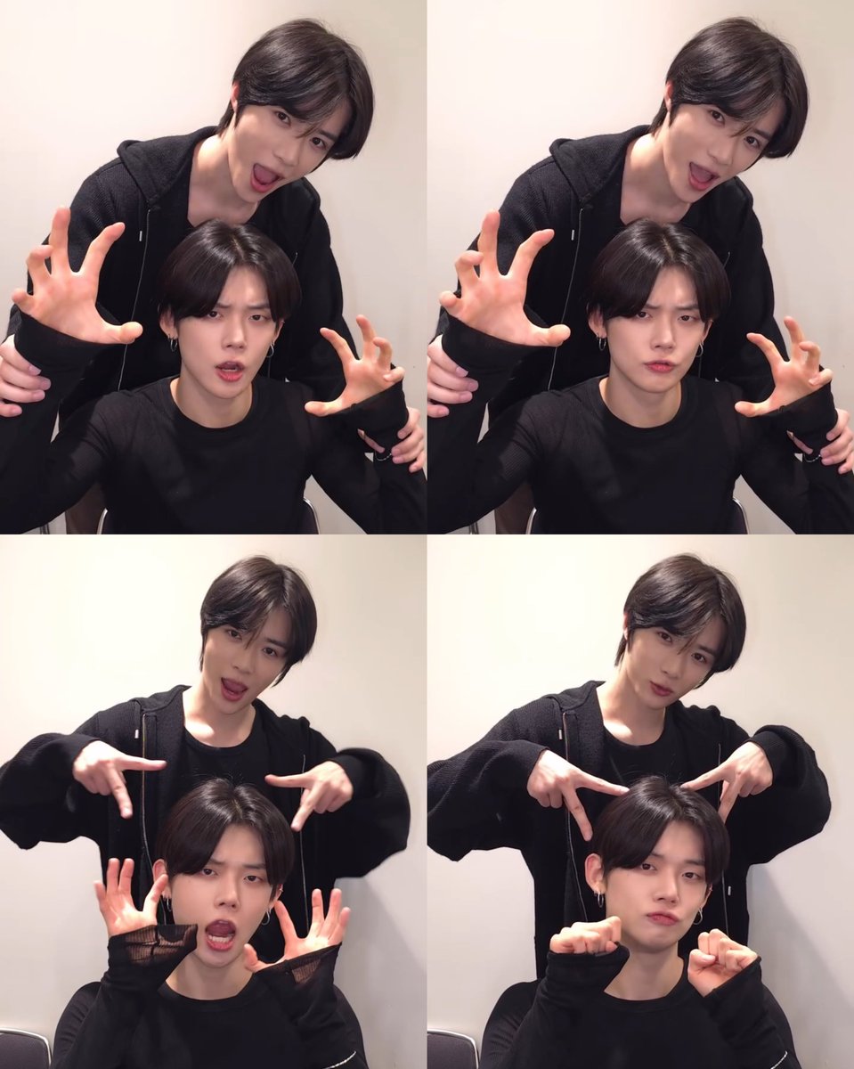 jjuandkkyu's tweet photo. BEOMGYU'S CAT!!!!! https://t.co/NAeO2a9wHm