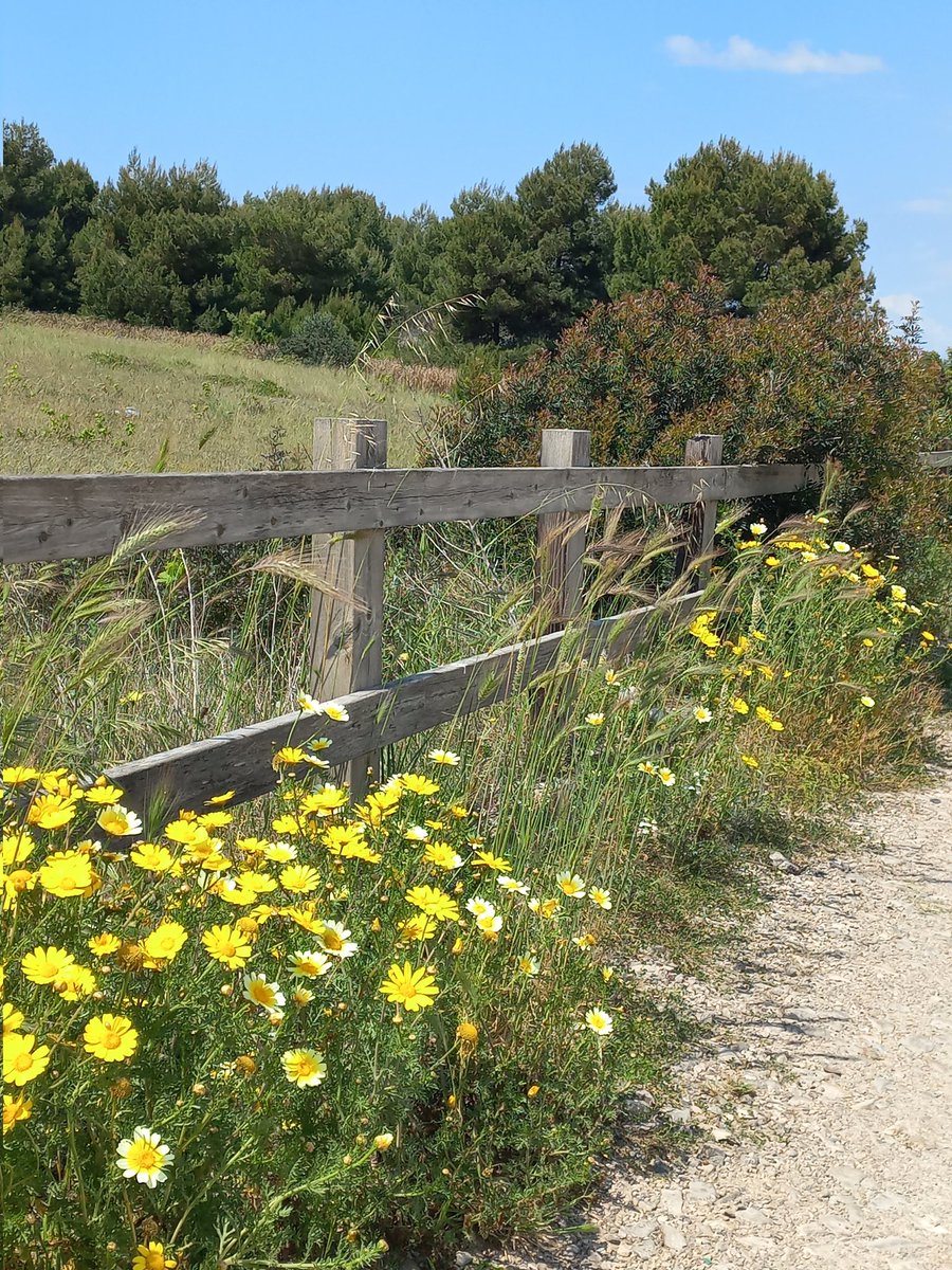 RomanoGrecoAut's tweet photo. Salento,  Puglia,  25 aprile https://t.co/u2kmlCYAEk