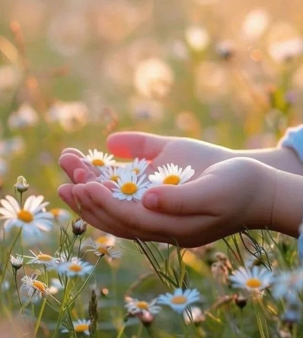 اور اللہ کی مصلحتیں سمجھنے والوں کے دل ضدی نہیں ہوتے۔