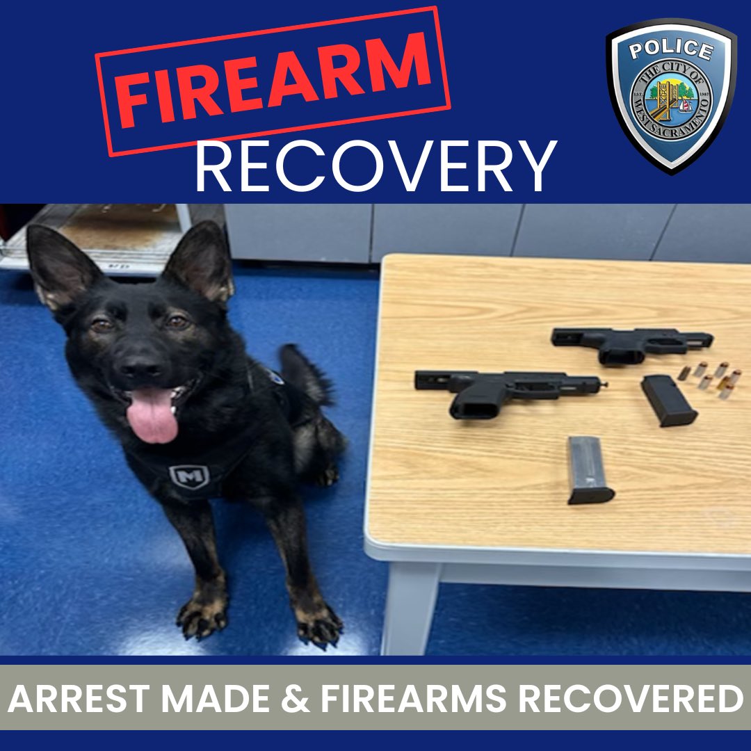 🚔 Last night, officers stopped a car with no plates &amp; found a lot more than expected! The driver, on PRCS, had 2 guns hidden in the vehicle. 🔫 K9 Maverick did an awesome job alerting to a hidden gun inside. 👏🐾
Driver's now in jail on firearm charges.
#K9Unit #FirearmRecovery