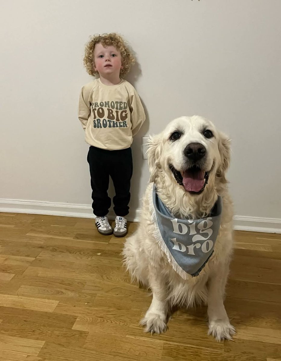 Soon to be Big Brothers 🥺🤍✨️