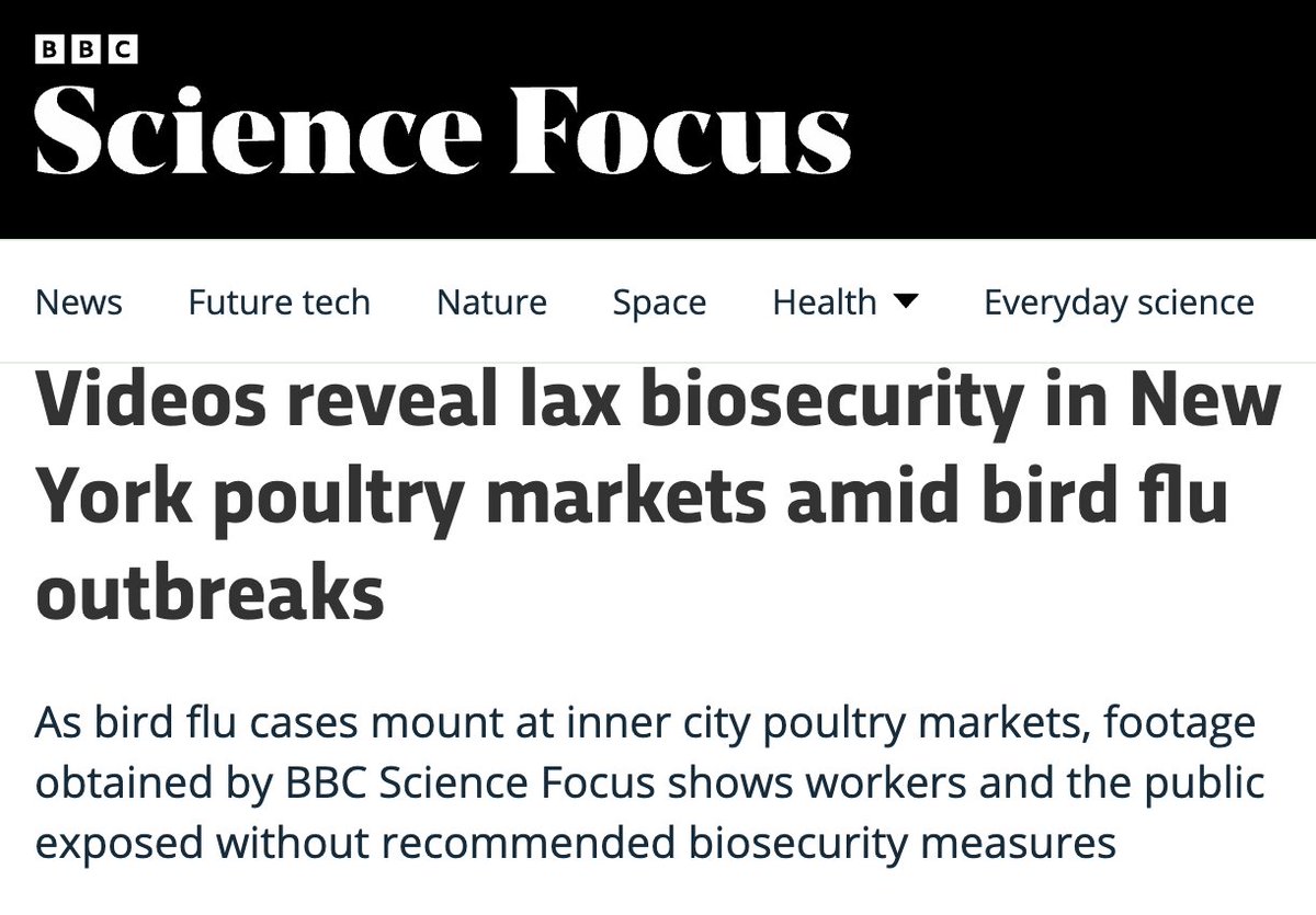 New footage I captured inside NYC poultry markets reveals open doors, no masks, no biosecurity — while bird flu spreads. 

Officials know and say, "Well, it's not as bad as it used to be..." 🤷‍♀️

There have been 22 outbreaks in Queens markets since February. Are the source