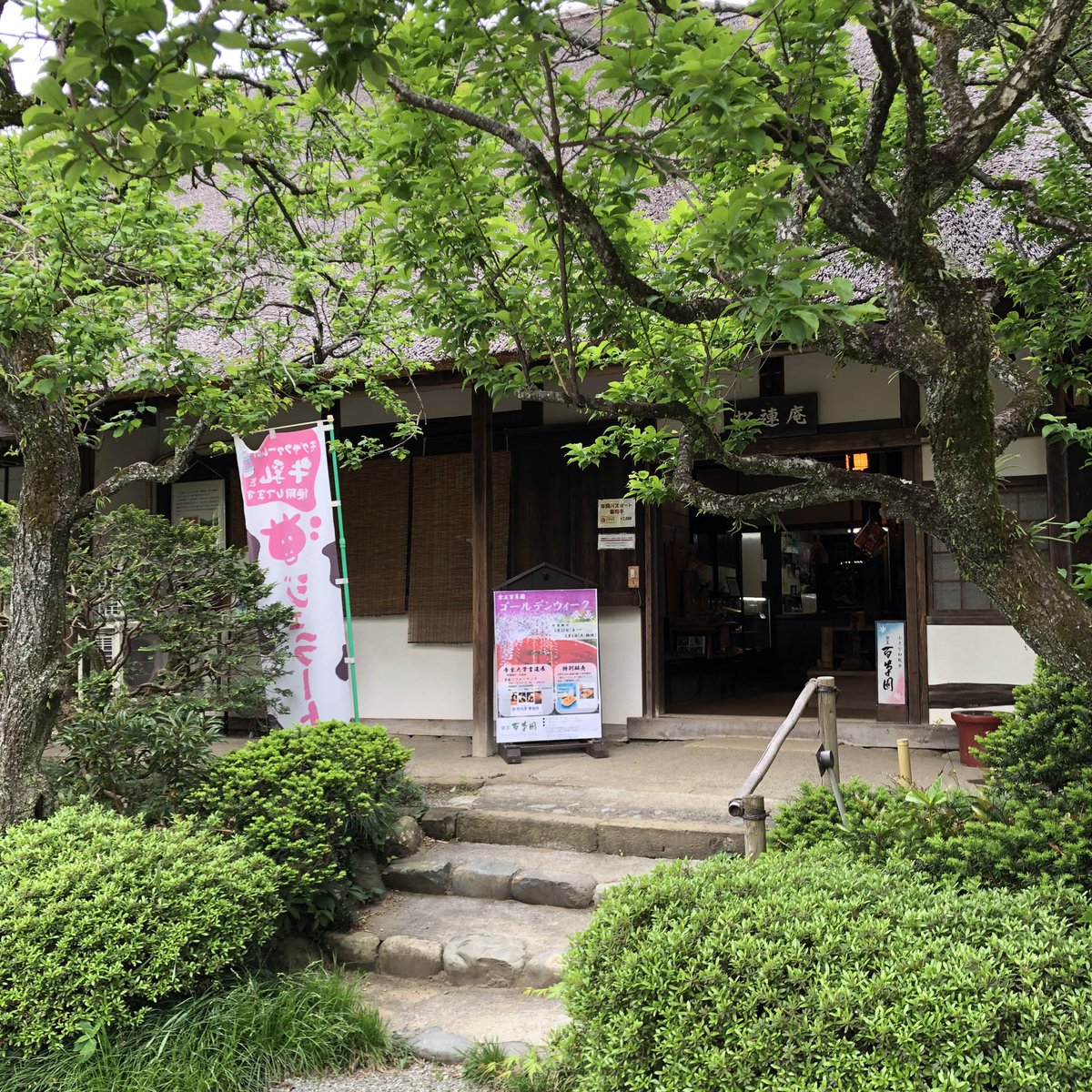 本日よりGW期間中　京王百草園様にて豆乳スイーツ（ドーナツ、プリン、わらび餅）を販売致します✨
是非お立ち寄りください♪