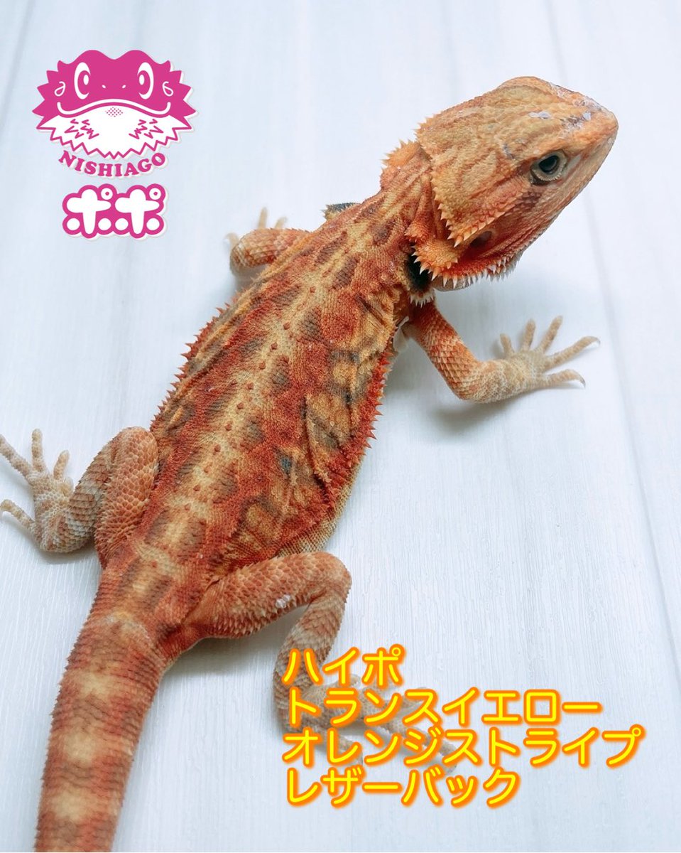GpbCZIUaYAA6qr2.jpg