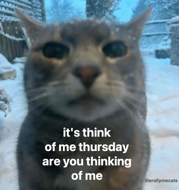 ˗ˏˋ𝑵𝘦𝘮𝘰𝘯𝘢 ⸻ .ᐟ tweet media