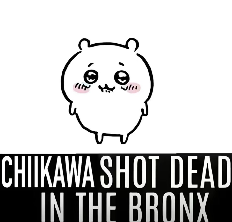 usagidarabbit's tweet image. ….🕊️