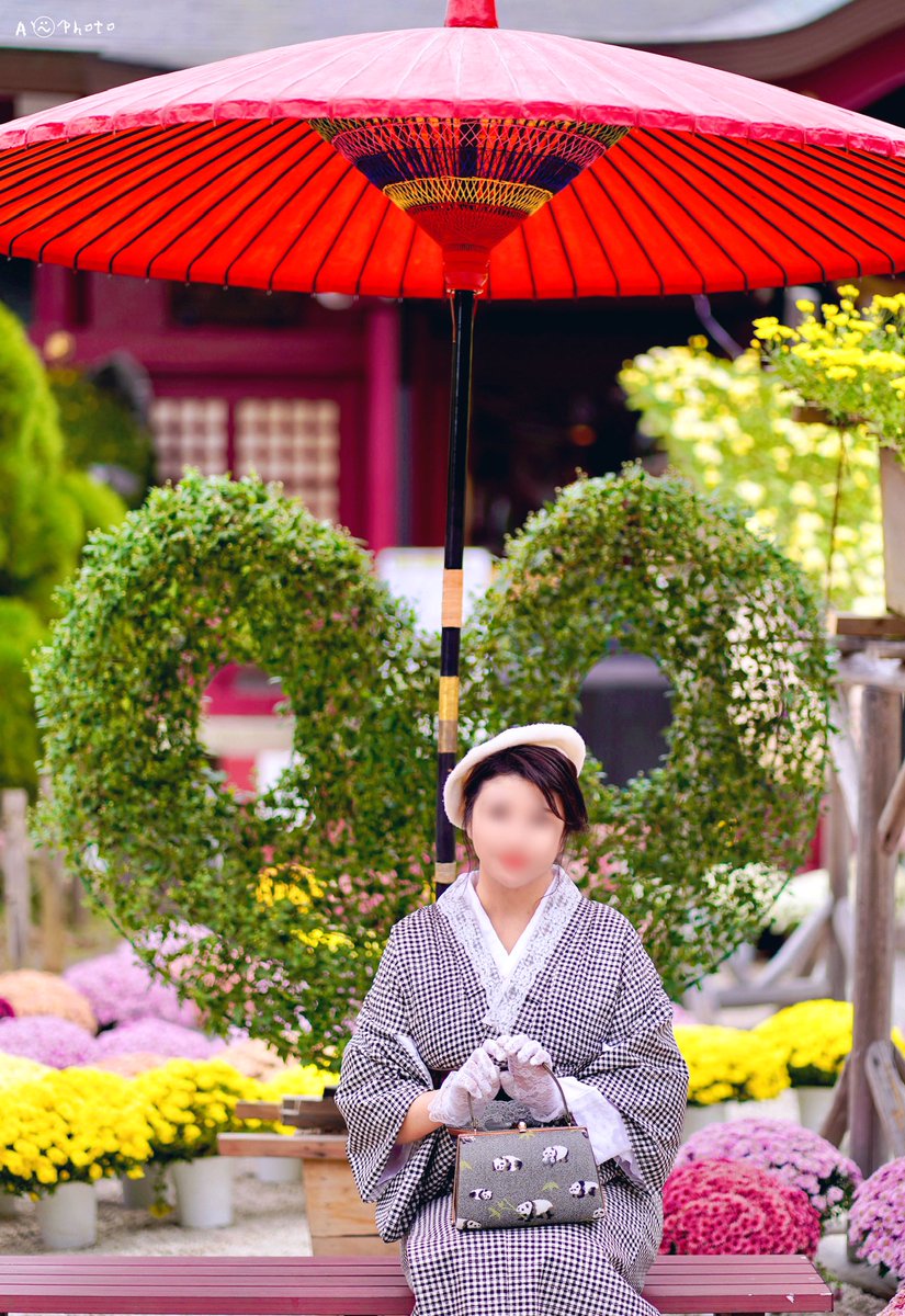 暑くなる前に、浴衣での撮影しちゃいませんか？
5月はバラ園、6月は紫陽花が見頃の季節
紫陽花や神社は、浴衣によく映えておすすめです
風情あるロケーションで、お客様の目にとまる、とっておきの写真を撮りましょう✨
先のご予約やご相談もお気軽にどうぞꕤ︎︎·͜·

model:fujino <a href="/fu_chan8181/">ふじの湯♨️CHATEAU PETRA🛀</a>