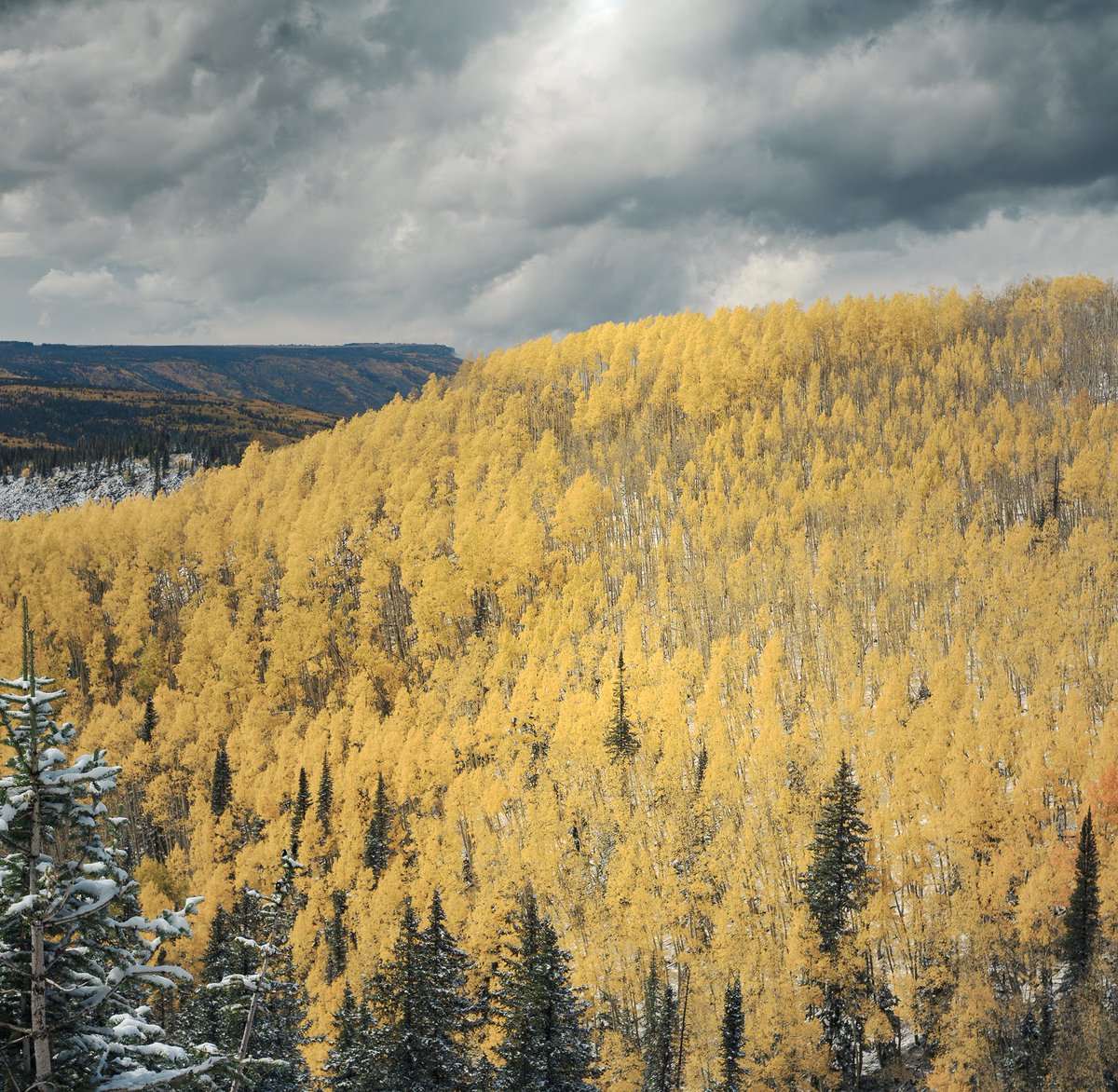 JHThompPhotog's tweet photo. #colorado #canon #50mm #17mm #fall #photography #landscapephotography https://t.co/CLFB4FXHW1