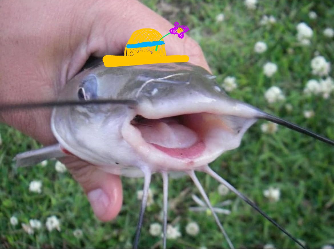 He looks like he would sell me fridge magnets for a fair and just price