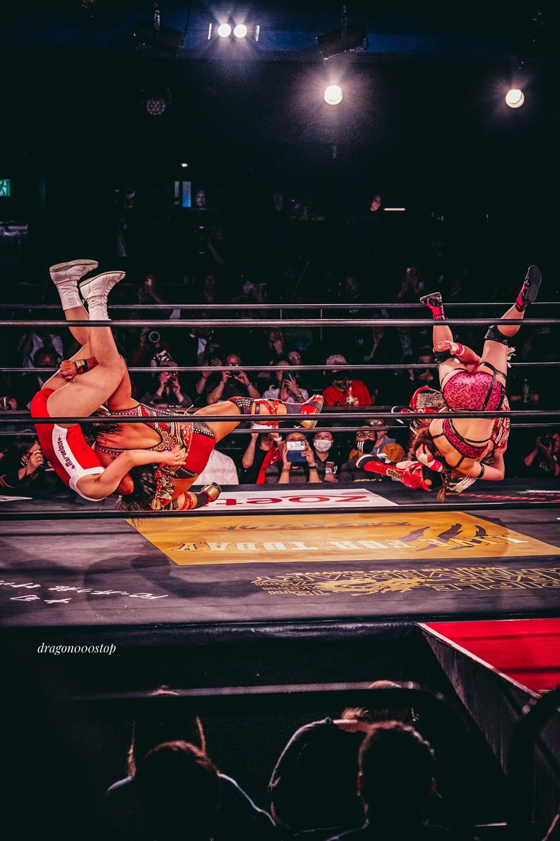 正面から撮りたかった気持ちもあるけど長与さんと里村さんが同じリングでデスバレーボムの共演に方角とかどうでも良くて純粋にシビれました✨

これがまたお互い若手2人が所属してる団体が逆って所に何かグッと来る物があります‼️

#長与千種
#里村明衣子
#tenryu_pj