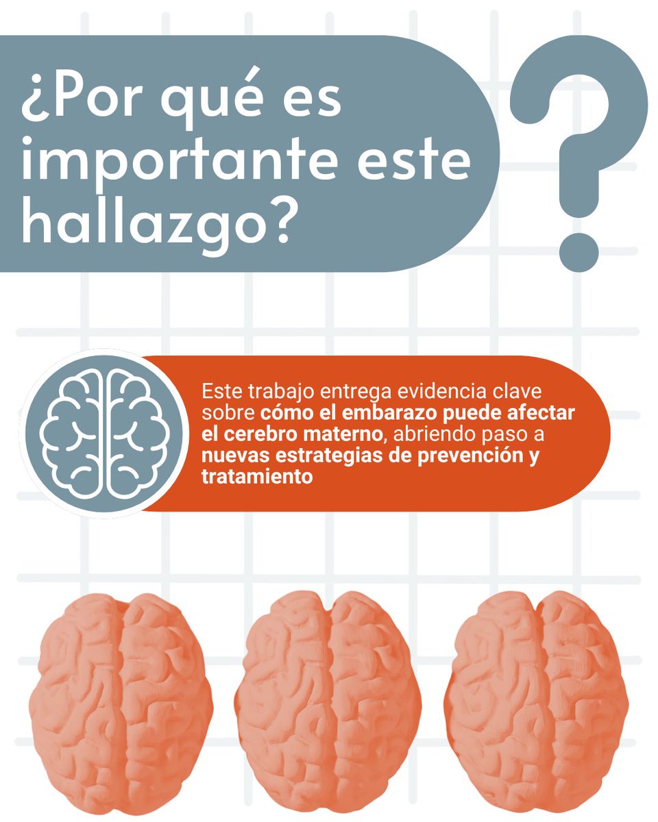 Nuevo estudio de NEUROVAS: vesículas de la placenta en preeclampsia podrían dañar la barrera cerebral 🧠 Un hallazgo clave para proteger la salud materna 🤰#cerebrovascular #prevenciónacv #acv #salud #saludcerebral #neurociencia
#investigacion #ñuble #chile