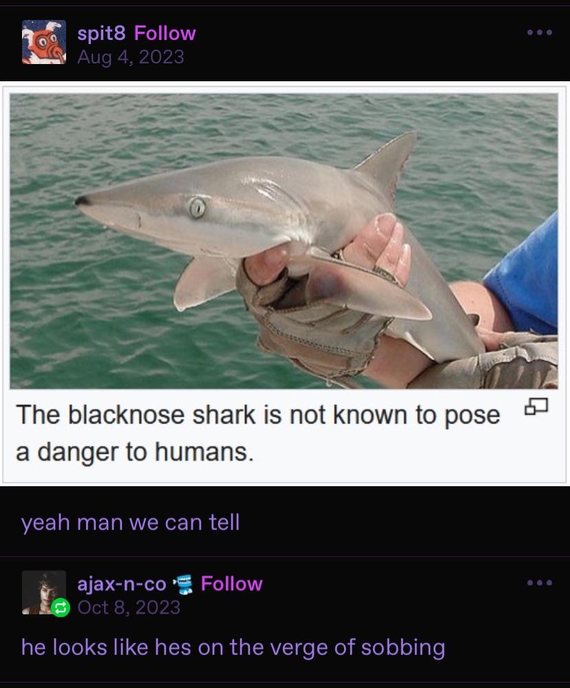 Images AI Could Never Recreate (@imagesaicouldnt) on Twitter photo 