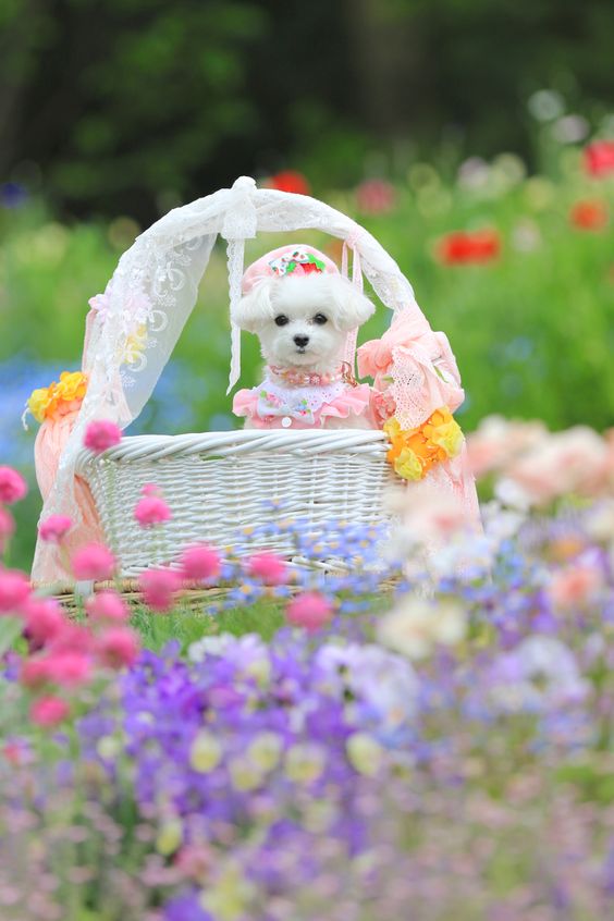 Que tengan un exelente fin de semana amigos, muy buenas noches, hasta mañana.
🐷🐷A ganar seguidores.🐷🐷