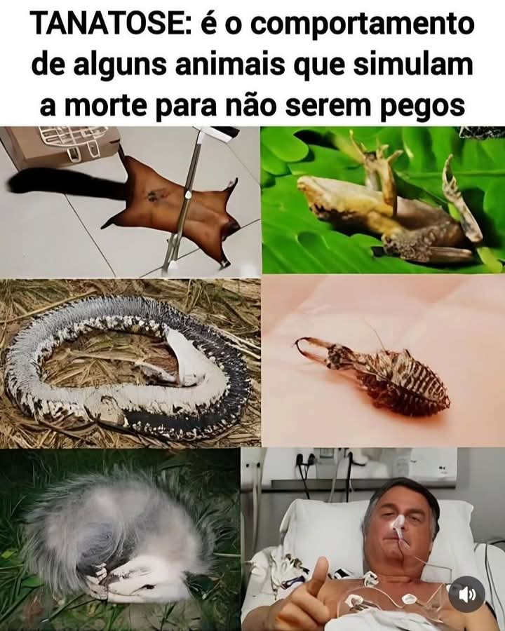 Cada qual no seu quadrado 🤣
