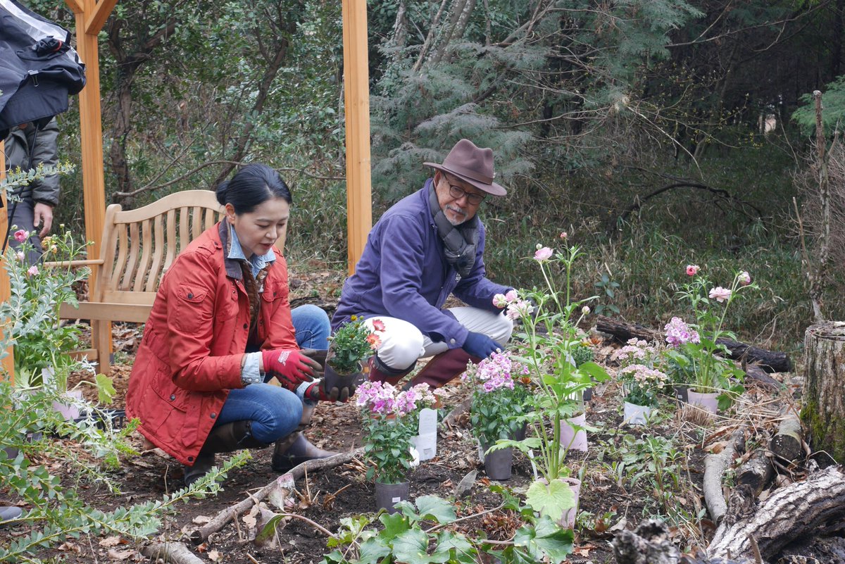 ／
来週放送✨
＼
「黒谷友香、#お庭つくります 」　
📅5/3　毎週土曜日 午前10時00分～10時30分

早咲きの花を植え直し「春の #花壇づくり 」に挑戦！🌸🍁🍃

#BS11 #ガーデニング #黒谷友香
📺bs11.jp/education/kuro…