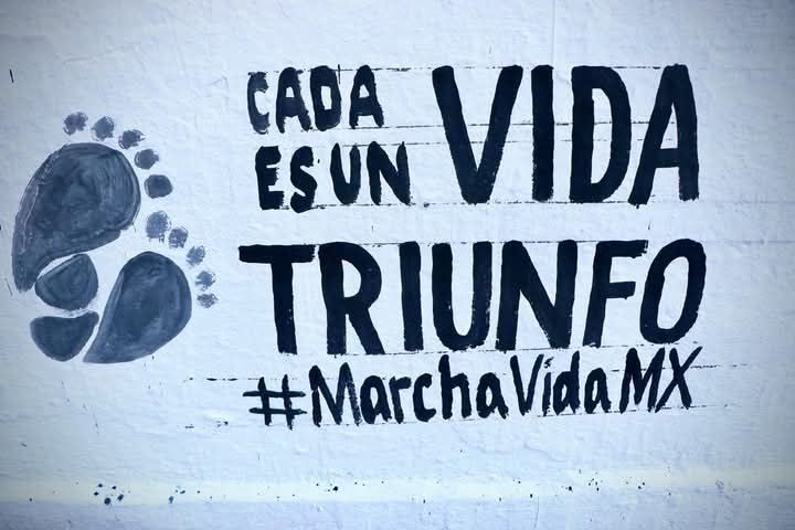"NO ES SOLO UNA LEY"
📣Son millones de historias que nunca se contaron.
Hoy tenemos la oportunidad de escribir un México🇲🇽 que defiende la vida🛡️."

#MarchaVidaMx #CadaVidaEsUnTriunfo