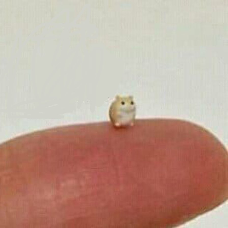 il_mares's tweet image. #samepic