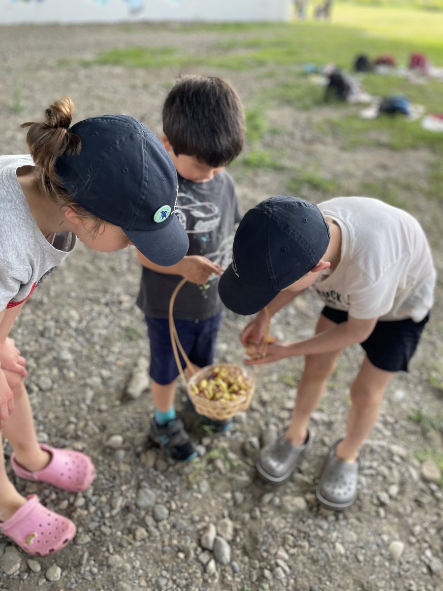 SwissClub_TYO's tweet photo. Our Family Picnic at Hyogojima Park was a little different this time! To celebrate Easter weekend, we organized a small treasure hunt for the kids 👀 The weather was perfect, and we had so much fun together 🐣

#swissclubtokyo #SwissCommunity #familypicnic https://t.co/Z5EjQJWEK4