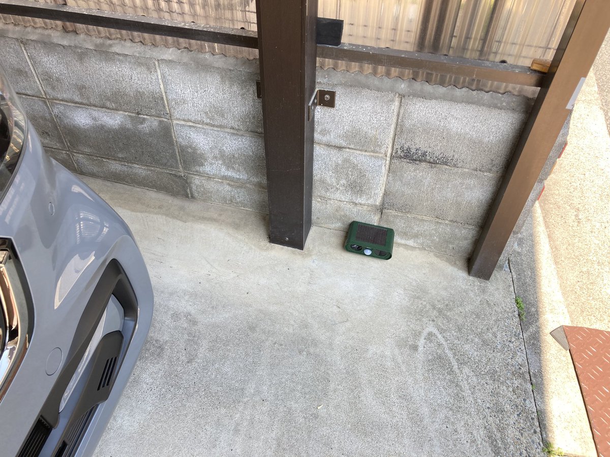 激オコ案件が発覚したサターン😈
前の車フリードちゃんから問題視していた野良猫が車に乗って傷を付ける案件🐾
さすがにN-BOXは万全の対策して猫避けを設置していたけど、足跡と抜け毛を発見してブチギレしておりまする💢
抜け毛から茶色の野良猫が犯人なので、次見かけたら全力で○してもいいよね🤤