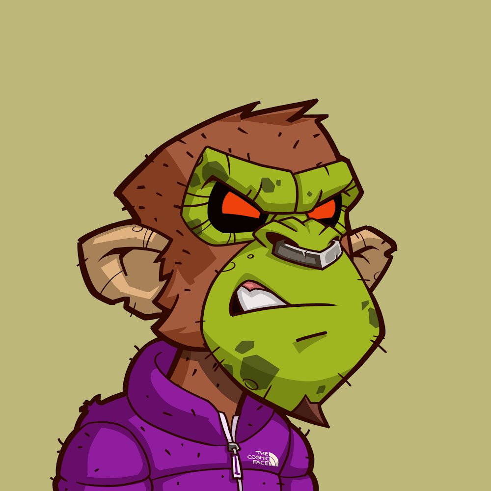 dakidd0416's tweet photo. @AngryApesNFT @AngryTeno Angry Apes! LFG 🔥 Like the Art so much 🚀 https://t.co/ulWSiIFotq