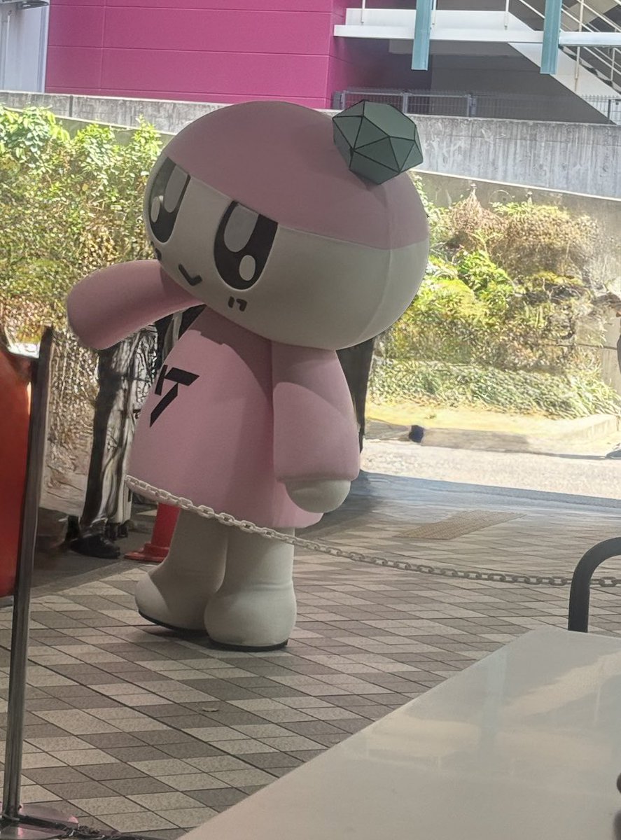 朝イチからブースに並んでたら
遭遇〜
かわいい❤︎