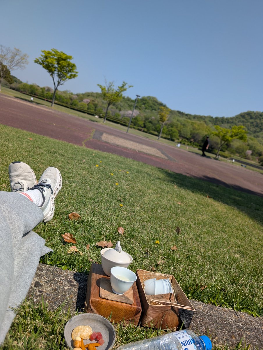 日向ぼっこ
お湯がないので水出し中

野点セットにお湯を沸かせるアイテムを加えたい